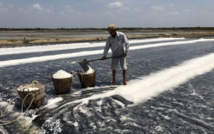 Công nghệ biến muối thô thành muối tinh