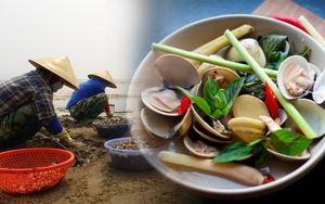 "Chong đèn" bới cát tìm ngao, chế biến thành món ăn "hot" cho ngày hè
