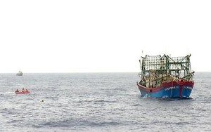 Ngộ độc khí trong hầm cá, 2 ngư dân tử vong ngoài khơi Bà Rịa - Vũng Tàu