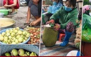 Việc nhẹ lương cao ngất ở Việt Nam: Gọt măng cụt kiếm nửa triệu đồng mỗi ngày