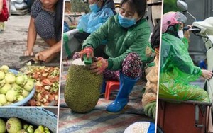 Việc nhẹ lương cao ở Việt Nam: Gọt măng cụt kiếm nửa triệu đồng mỗi ngày
