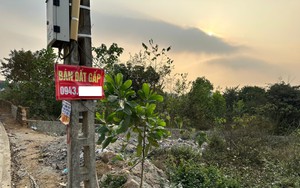 Chủ đất “ngao ngán” khi bị người mua ép giá: “Không bán tôi chốt mua lô khác ngay”