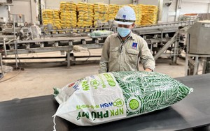 Trước khi được EVN đề nghị dừng hoạt động để nhường khí sản xuất điện, Đạm Phú Mỹ và Cà Mau đều bị giảm gần 90% lợi nhuận