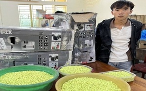 Hà Nội thu giữ hơn 600kg ma túy tổng hợp qua đường chuyển phát quốc tế