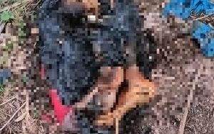 Bình Dương: Kinh hoàng phát hiện 2 đoạn chân người ở bãi đất trống