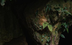 Khám phá hang Bó Mỳ - điểm đến ít biết ở Hà Giang
