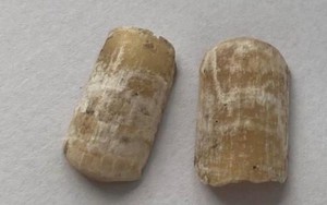 Công an Bình Dương công bố móng tay giả của thi thể nữ không nguyên vẹn