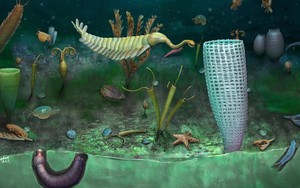 "Mắc kẹt" vì COVID-19, đào bới gần nhà và phát hiện kho báu quái vật 462 triệu tuổi