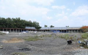 Bắt Giám đốc Công ty môi trường về tội gây ô nhiễm môi trường