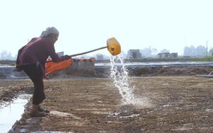 Xem người dân đón nắng nóng để "làm một ngày ăn cả năm"