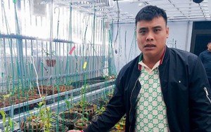 Truy tố 2 "đại gia sinh đôi" lan đột biến ở Quảng Ninh