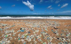 Chùm ảnh rác thải tràn ngập từ trên bờ đến tận đáy các đại dương