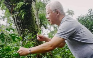 Cụ ông ẩn cư trong rừng sâu 20 năm, mang tiếng "khùng" để làm nên thứ đặc sản có giá hàng tỷ đồng