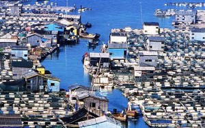 'Ngôi làng trên biển' ở Trung Quốc: Nhà cửa nổi lênh đênh, cuộc sống tiện nghi không thua trên đất liền
