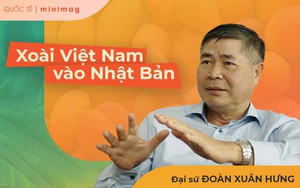 Đại sứ xách ba lô về nông thôn Nhật và màn "bài binh" khéo léo giúp xoài Việt mở cửa thị trường khó tính