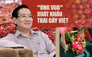 “Ông vua” xuất khẩu trái cây Việt: Chúng ta đang chọn những loại quả rất “yếu” để đi Mỹ