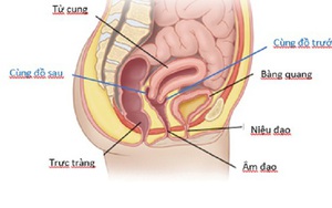 Cô gái chảy máu ổ bụng, tính mạng nguy kịch sau quan hệ tình dục