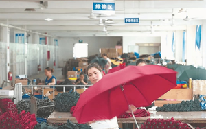 Không được vào hội chợ, doanh nhân Trung Quốc "ôm hàng" đợi ở cửa: Biến vật cầm tay thông dụng thành ngành công nghiệp tiền tỷ