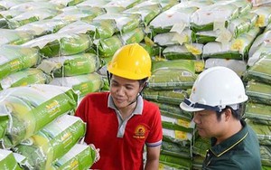 Giá gạo Việt vượt Thái Lan đứng số 1 thế giới
