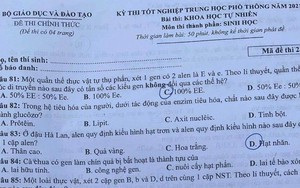 Vụ lộ đề tốt nghiệp THPT: Tổ trưởng, tổ phó ngân hàng câu hỏi 'ôn tủ' cho người thân quen