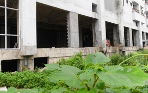 Hàng nghìn căn hộ tái định cư bỏ hoang trên “đất vàng' Hà Nội