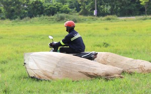 Vượt hơn 80km để săn châu chấu, nông dân Nghệ An kiếm tiền triệu mỗi ngày