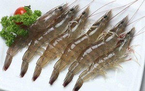 Tôm có dấu hiệu này, rẻ mấy cũng nhất định không mua