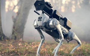 Thermonator - Chó robot phun lửa đầu tiên trên thế giới