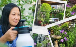Bỏ việc văn phòng để "nghỉ hưu sớm", người phụ nữ chuyển về ngoại ô sống trong căn biệt thự với khu vườn trăm hoa