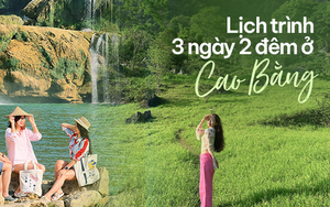 Kế hoạch du lịch Cao Bằng 3 ngày 2 đêm với chi phí vừa phải cho gia đình đến ngắm thác hùng vĩ và những thảo nguyên xanh ngắt