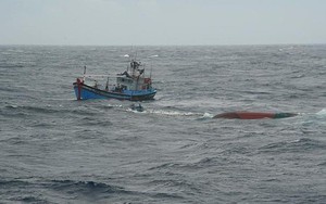 Lật tàu cá ngoài khơi Bình Thuận, 9 ngư dân rớt xuống biển
