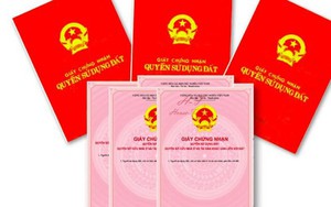 Đất không có sổ đỏ có được chia thừa kế không?
