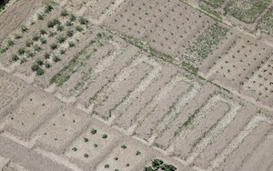 Châu Âu đối diện mùa hè thiếu nước