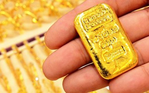 Trong tháng 6, việc kinh doanh của 3 người tuổi này được dự báo dễ tạo nên cơ nghiệp, “thời tới cản không kịp”, tiền tài và phú quý đua nhau kéo về