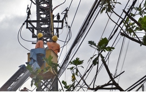 Thủ tướng chỉ đạo khẩn trương thực hiện bảo đảm cung ứng điện