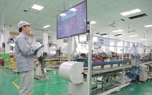 Giải mã sức mạnh dữ liệu của Rạng Đông - hình mẫu tiên phong chuyển đổi số ngành sản xuất