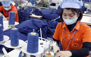 Nếu giảm đóng BHXH xuống 15 năm, mức hưởng lương hưu thế nào?