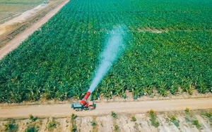 Sau ít năm đi trồng cây, chăn nuôi, Thaco Agri trở thành công ty nông nghiệp tư nhân có tài sản top đầu Việt Nam với gần 40.000 tỷ, năm 2022 vẫn lỗ gần 900 tỷ