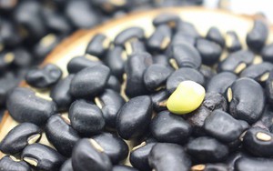 Loại hạt giá rẻ được ví như 'sâm đen' của mùa hè, bổ thận dưỡng nhan rất tốt