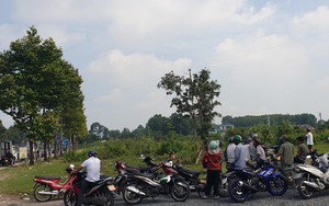 Bình Dương: Phát hiện 1 thi thể lơ lửng trên cây trứng cá