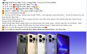 Công an bóc trần trò lừa đảo chơi mini game, tặng điện thoại iPhone 13, 14