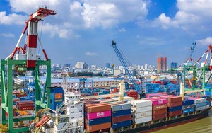 Chi phí vận chuyển container Bắc - Nam đắt gấp đôi đi Mỹ