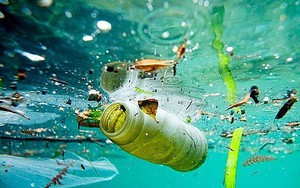 Hiểm họa ô nhiễm vi nhựa ở Việt Nam
