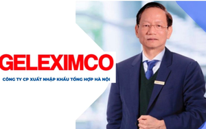 Geleximco của doanh nhân Vũ Văn Tiền lần đầu công khai tài chính: Hệ sinh thái từ BĐS, ngân hàng, ô tô… với tổng tài sản gần 30.000 tỷ nhưng lãi chỉ vỏn vẹn 66 tỷ đồng