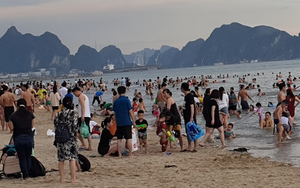 Xác minh vụ du khách bị đánh "hội đồng" tại Bãi Cháy