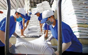 Một mặt hàng của Việt Nam đạt mức xuất khẩu kỷ lục tại Philippines, cao nhất từ trước đến nay