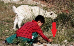 Cậu bé chăn cừu vấp phải vật lạ màu xanh, chuyên gia không ngờ tìm ra manh mối của vụ án 2.700 năm
