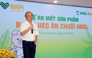 Giá heo “tìm đường” về đỉnh cũ, Hoàng Anh Gia Lai tái khởi động kế hoạch chào bán cổ phiếu riêng lẻ đã thất bại năm ngoái?