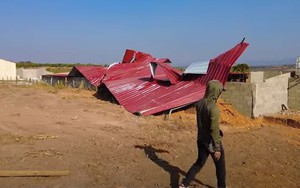 "Kiếp nạn 82" của Quang Linh Vlog: Lốc xoáy cuốn phăng mái tôn chuồng lợn