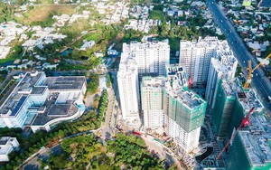 Lý do Ricons kiện nhà thầu lớn nhất Việt Nam, yêu cầu mở thủ tục phá sản